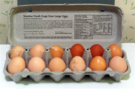 Organic, Cage-Free, Natural: The Truth Behind Egg & Chicken Labels ...