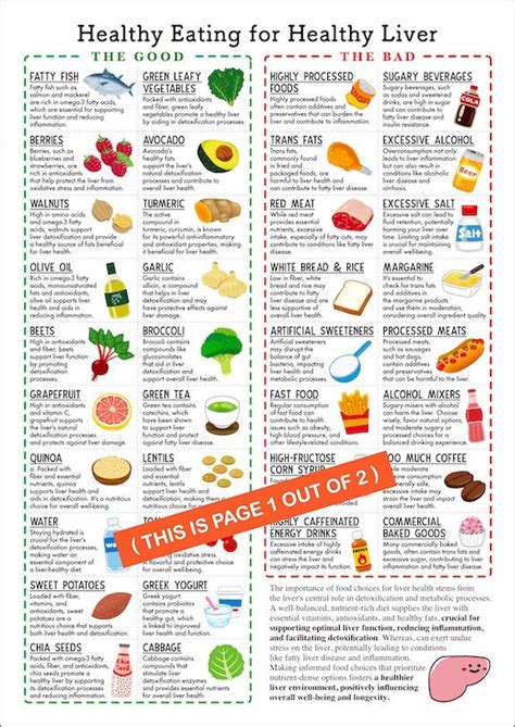 Liver Health Food Guide/ 2 Page Pdf PRINTABLE DOWNLOADS/ for Optimal Liver Function, Reducing ...