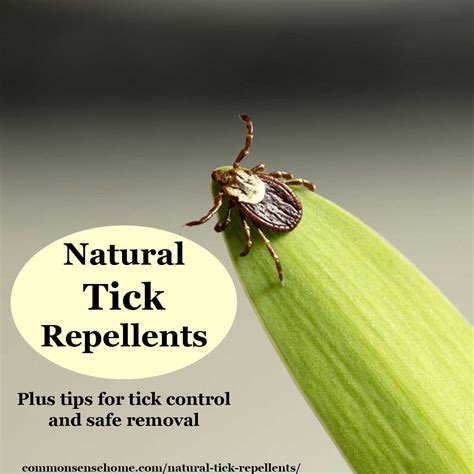 Natural Tick Repellent