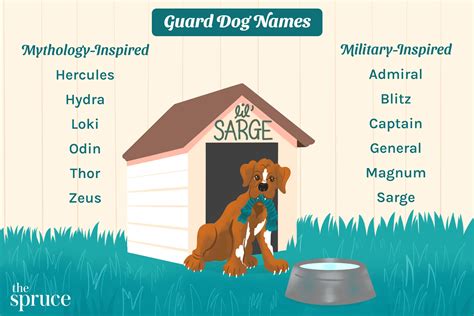 Rare Names For Dogs - Infoupdate.org