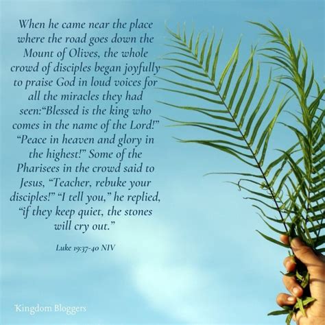 14 Palm Sunday Scriptures to Prepare Your Heart for the Coming King