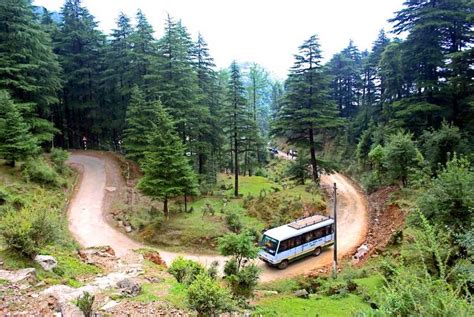 Take a break in Palampur, Himachal Pradesh | Femina.in