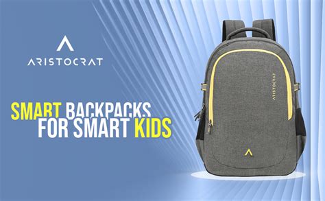 Buy Aristocrat Solid Pattern Tiago Backpack (H) Grey (Grey, Large) at ...