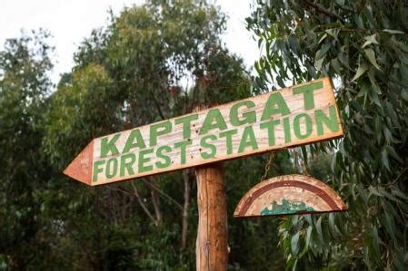 Corriendo con Kipchoge