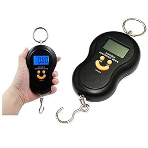 Buy JAYDON Digital Stylish Portable Handheld Hanging Spring Weighing ...