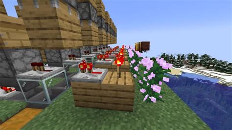 Image result for Minecraft 1.17.1 Java Honey Farm
