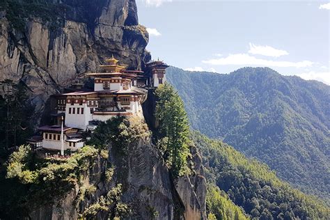 Image result for Bhutan Python Coders