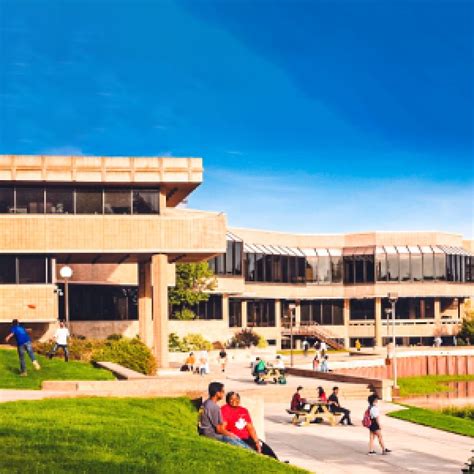 Bachelor of Science Honours Computer Science 的图像结果