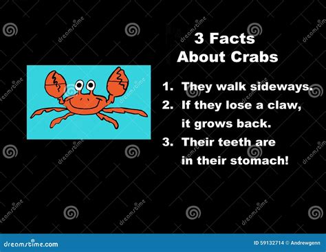 Facts about crabs stock illustration. Illustration of education - 59132714