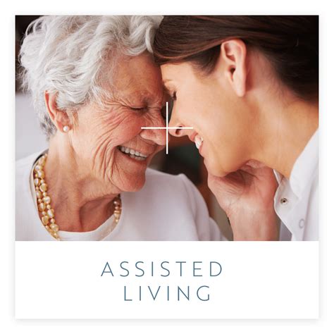 The Meridian At Brandon