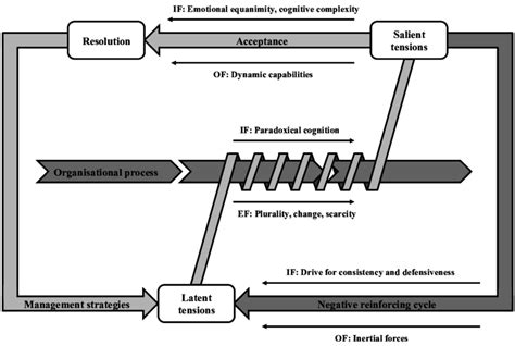 Image result for Dynamic Equilibrium Model Kit