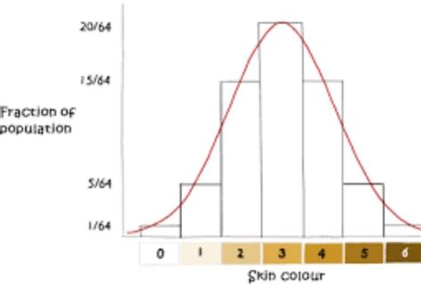 give graphic representation of a cross showing polygenic inheritance of ...