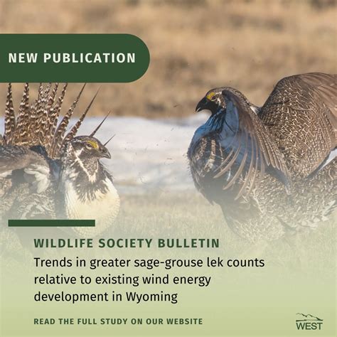 Western EcoSystems Technology (WEST) on LinkedIn: WEST Senior Biologist ...