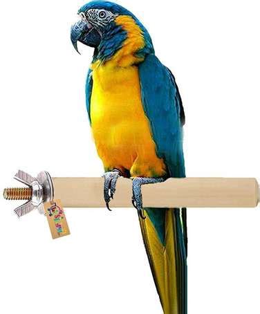 Bird Cages - Shop Bird Cages Online at the Best Price | Shopsy