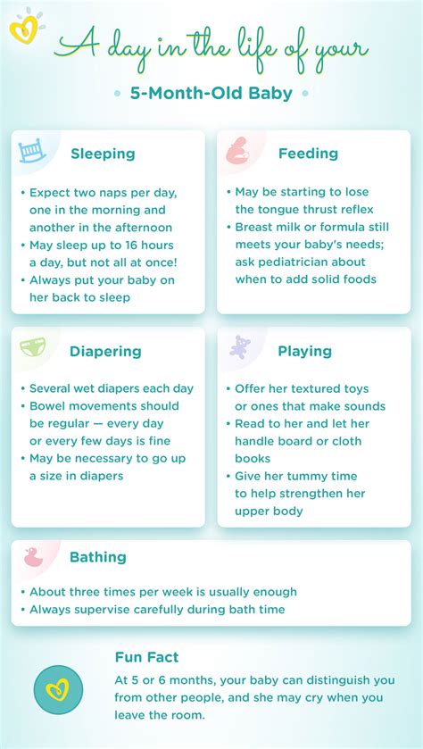 5-Month-Old Baby: Milestones, Sleep & Feeding Schedule | Pampers