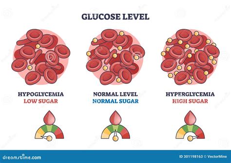 What Happens When Blood Sugar Drops