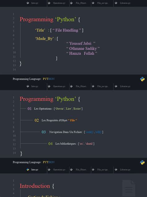 Image result for Python PDF Francais