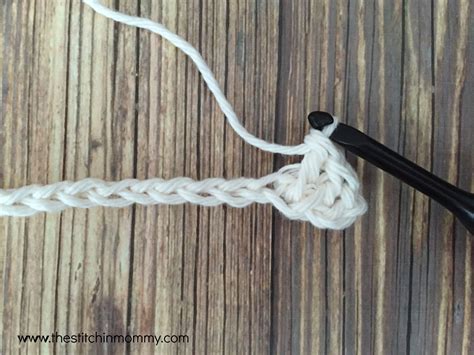 Shell Stitch 的图像结果