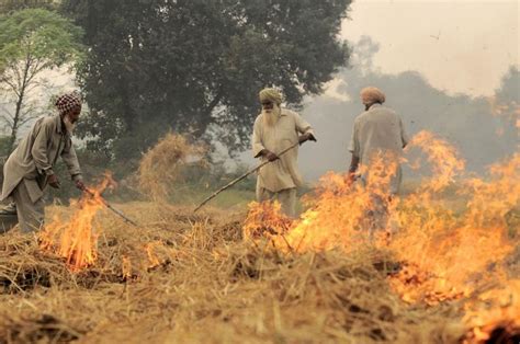 Punjab CM, SAD Chief In Heated Argument Over Stubble Burning in Punjab ...
