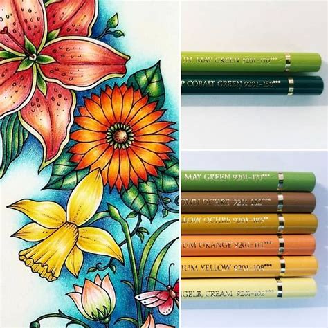 Image result for Polychromos Art Tutorials