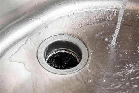 Image result for Garbage Disposal Cleaning