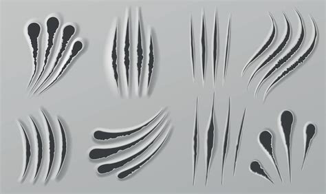 Image result for Tiger for Scratch Coding