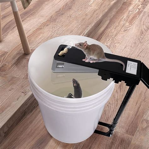 EASYTAO Humane Mouse Trap Bucket with Auto Reset and India | Ubuy