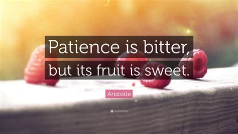 Patience Quotes (59 wallpapers) - Quotefancy