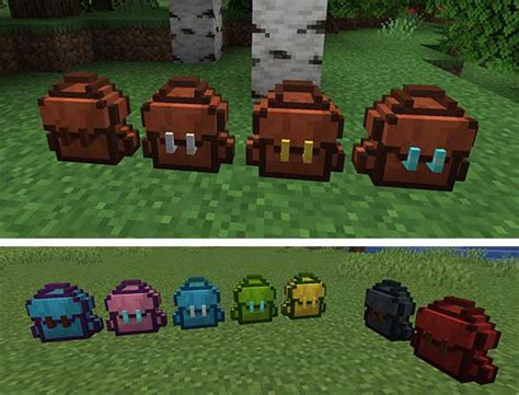 Backpack Mod 1.16.5 的图像结果