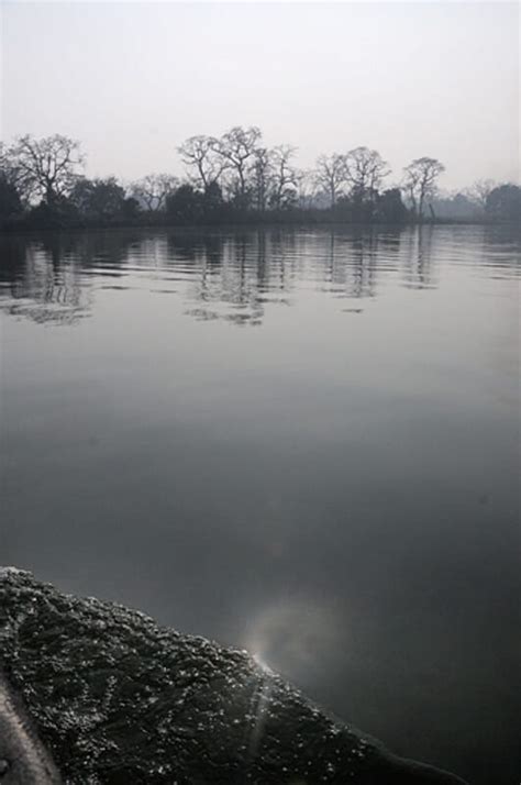 Official Website of UP Ecotourism