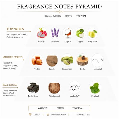 Home page – FUSION BY RIZWAN