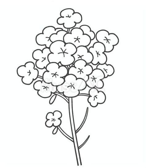 Image result for Decision Tree Algorithm in Data Mining