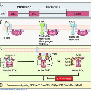 Image result for Exact Diagonalization of Syk Graph