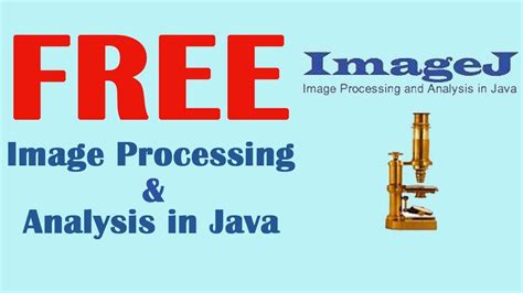 Image result for Computer Assistant Image Analysis ImageJ