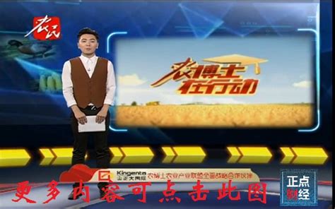 河北电视台农民频道宣传册设计图片平面广告素材免费下载(图片编号:2737119)-六图网