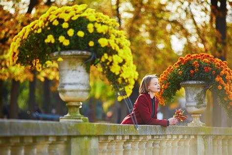 The population of Luxembourg's capital reached 136,208 people — Luxtoday.lu