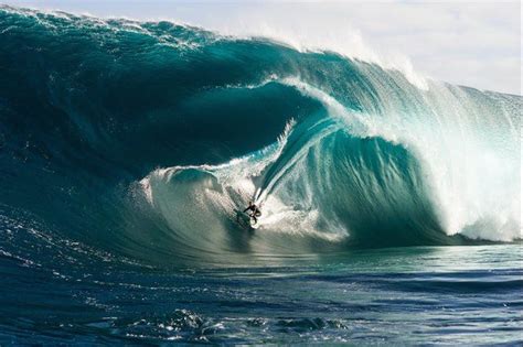 Image result for Wave Button Animation. CSS