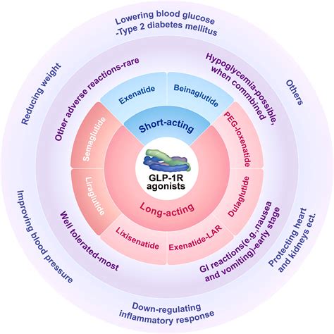Frontiers | GLP−1 receptor agonists for the treatment of obesity: Role as a promising approach