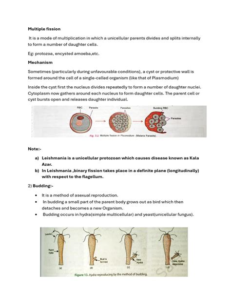 Class 10 Reproduction Notes 的图像结果