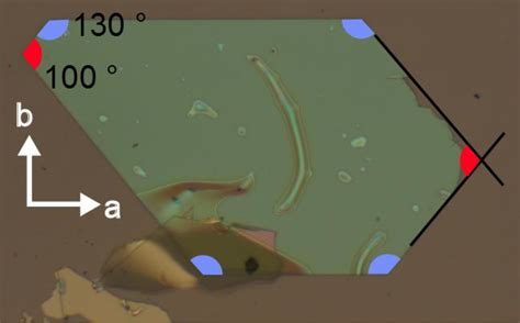 Anomalous Response in Heteroacene-Based Organic Field Effect ...