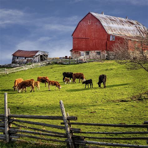 Pictures Of Old Red Barns at William Marciniak blog
