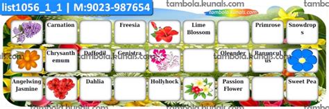 Tambola Housie | Floral Designs