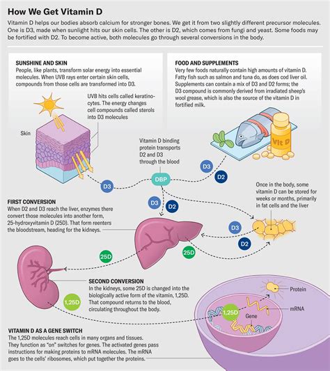 How Much Vitamin D Do You Need to Stay Healthy? | Scientific American