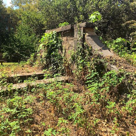 Morrisania: The South Bronx and the old days of American aristocracy ...