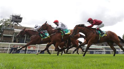 Fev Rover team wait over plans for this year | Racing News | Sky Sports