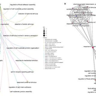 Image result for Go Annotation