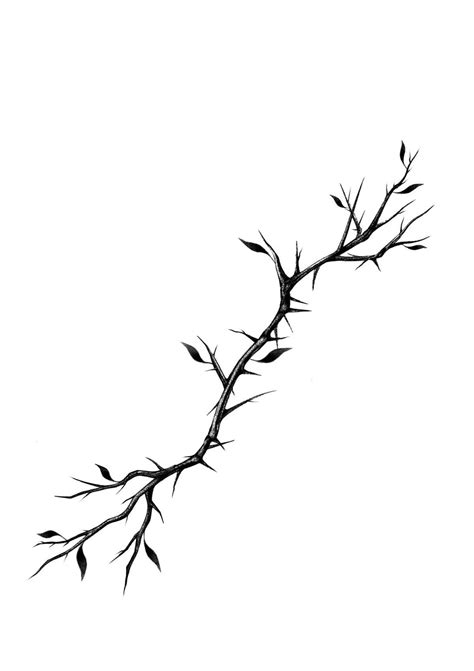 Pin by ⇜☠︎︎☾ ☈𝙤〆𝙮 ☽☠︎︎⇝ on Tattoos we do in 2025 | Branch tattoo, Thorn ...