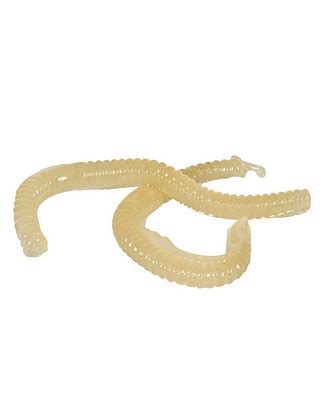 Humane Mole Poison 的图像结果