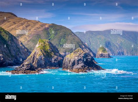 Cook Strait 的图像结果