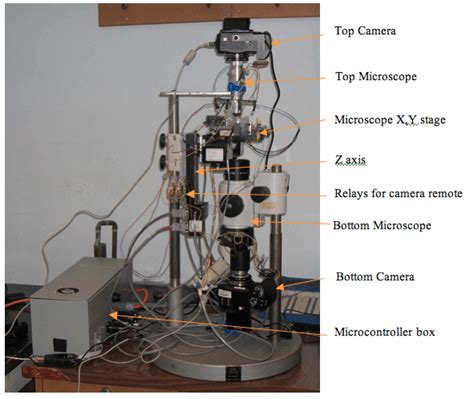 Image result for Microscope Camera Module Setup